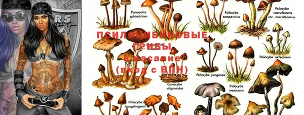 2c-b Алексин