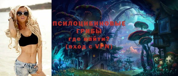 2c-b Алексин