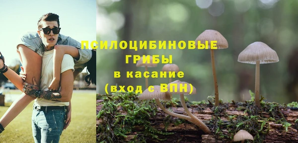 2c-b Алексин