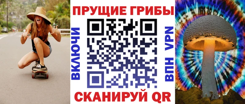 Галлюциногенные грибы Psilocybe  купить наркотики цена  Ипатово 